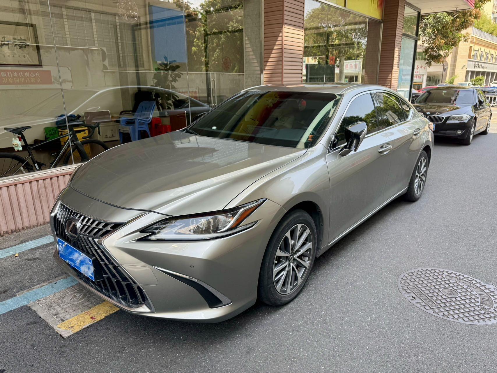 ES300h 2.5 CVT Excellence Edition