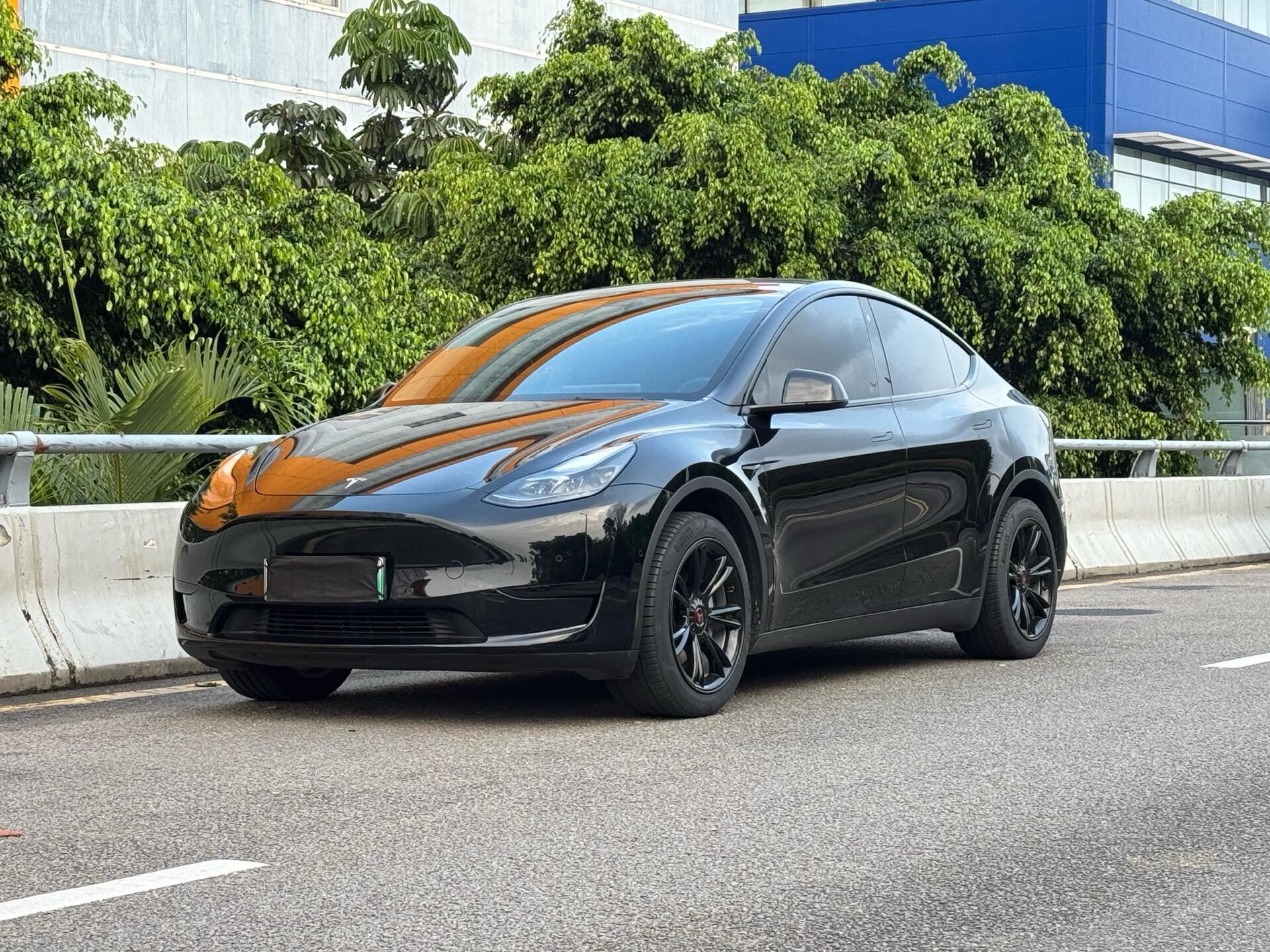 2022 Model Y Rear-Wheel Drive Edition (Renewal)