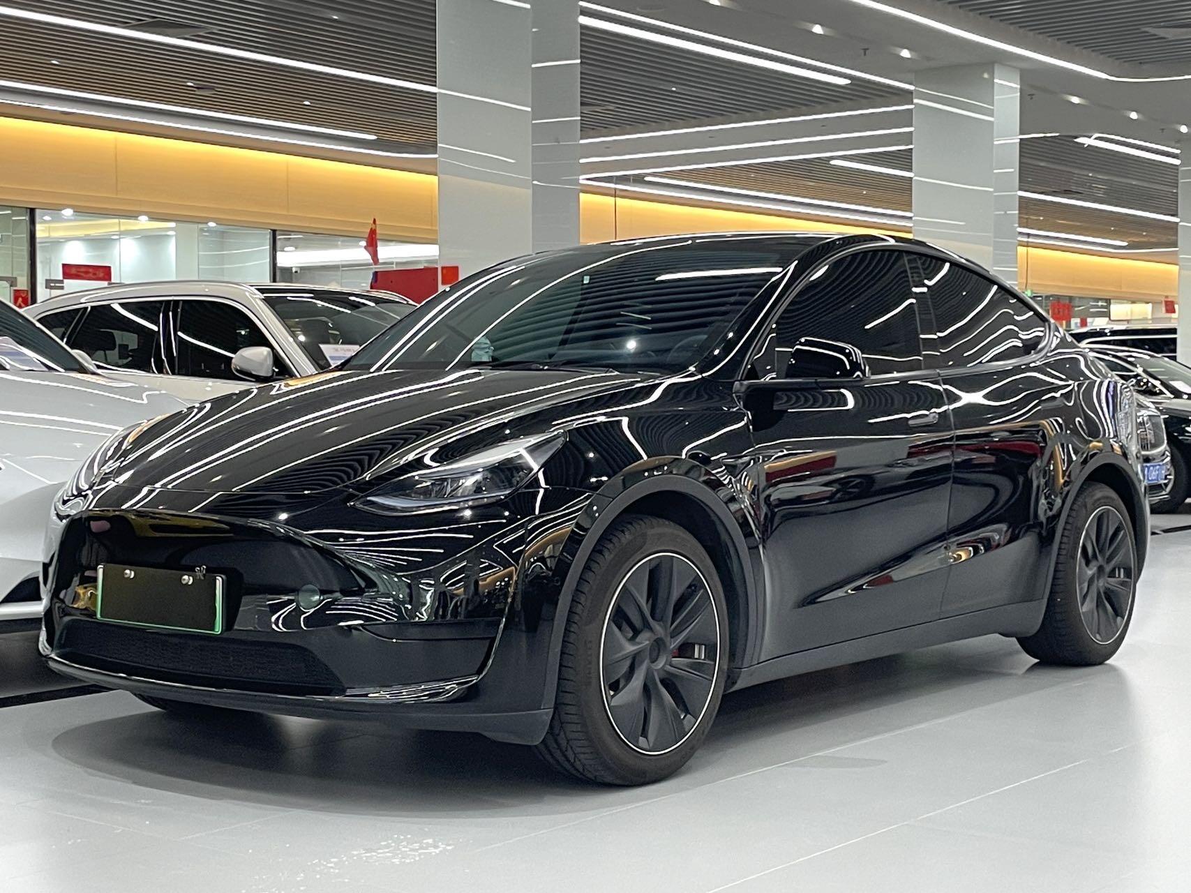 2022 Model Y Rear-Wheel Drive Edition (Renewal)