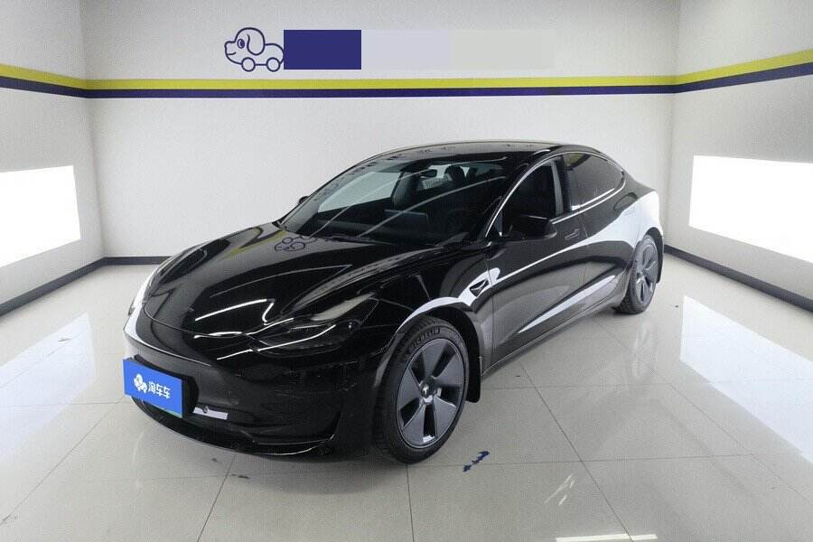 2021 Model 3 Biaochangchong Houjuliju Jinguangban