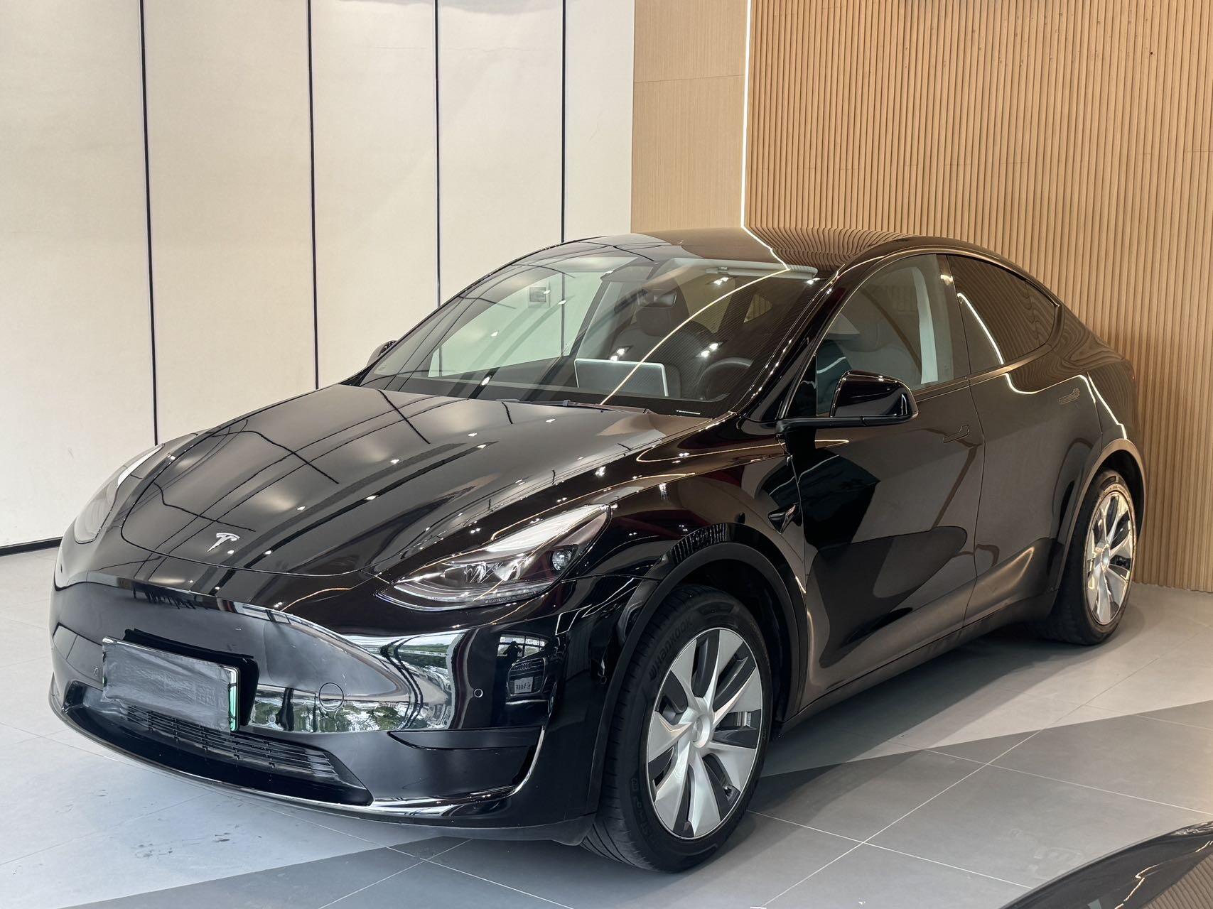 2022 Model Y Rear-Wheel Drive Edition (Renewal)