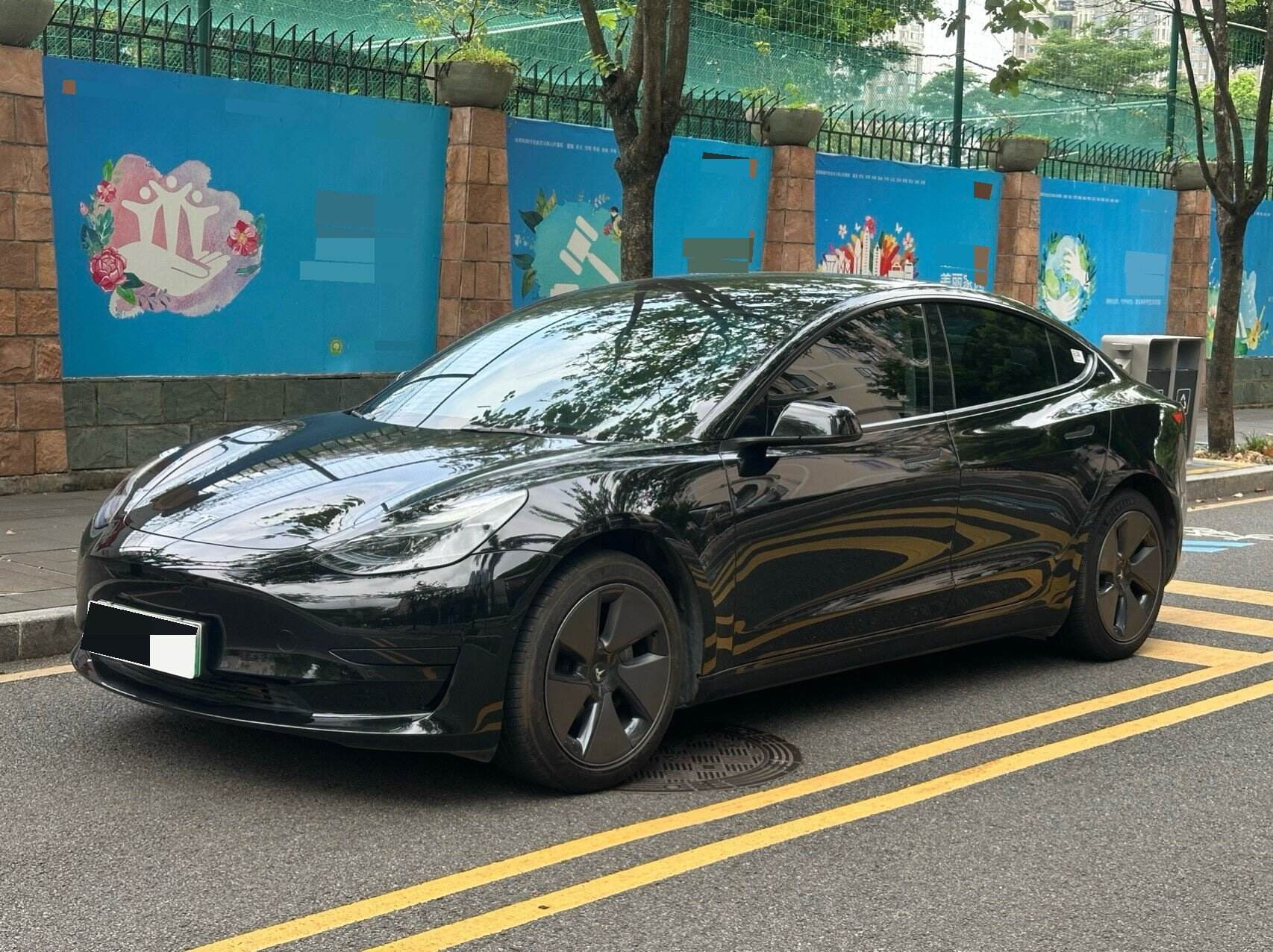 Model 3 Rear-wheel Drive
