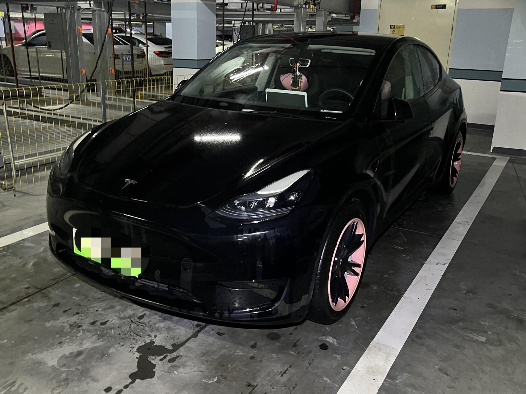 2022 Model Y Rear-Wheel Drive Edition (Renewal)