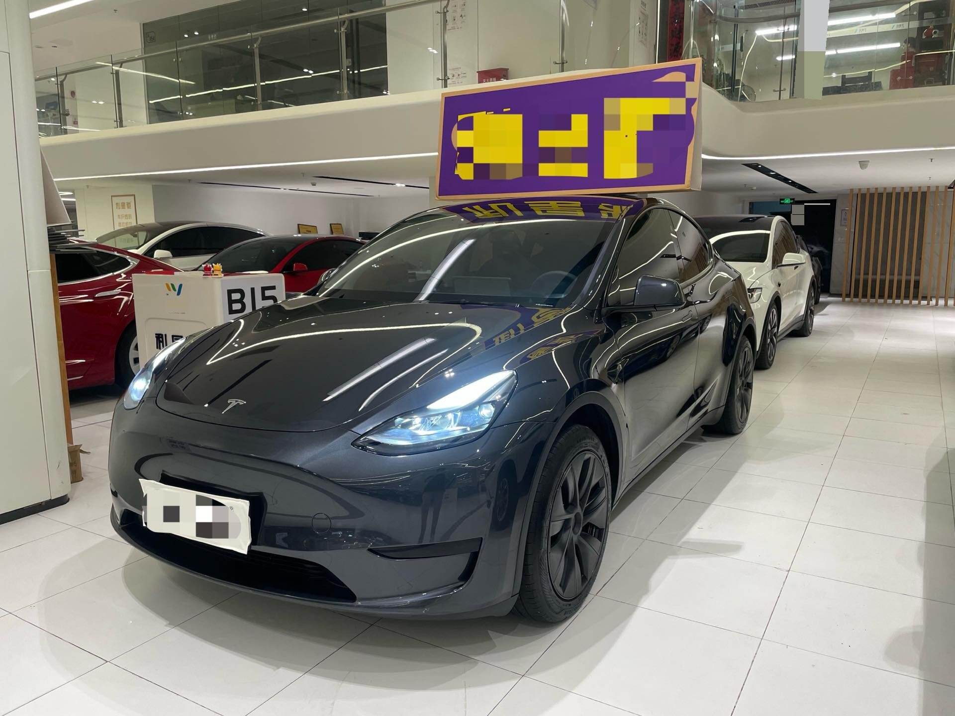 Model Y 后轮驱动版