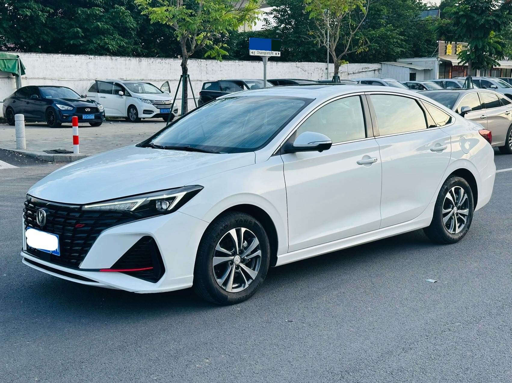 2022 Yidong PLUS 1.4TGDI Blue Whale NE Zungui Type