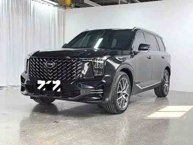 2025 GS8 2.0TGDI Lingnan Series 2WD Luxury Edition 5 seats