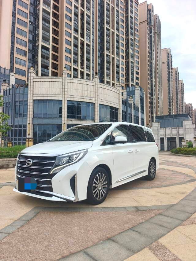 M8 2.0T 390T Leading Series Luxury Edition