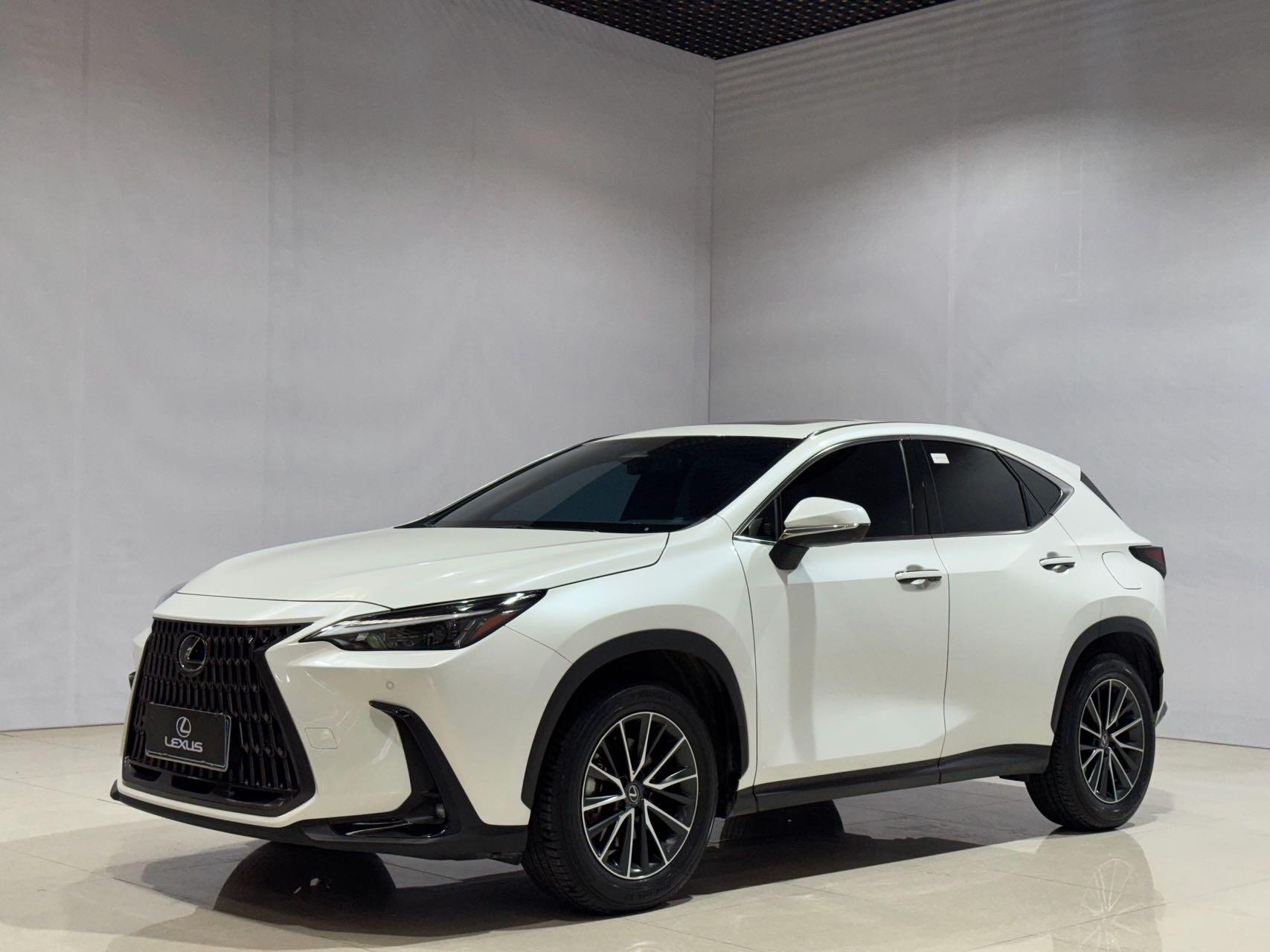 NX260 2.5 Cyo Special Edition