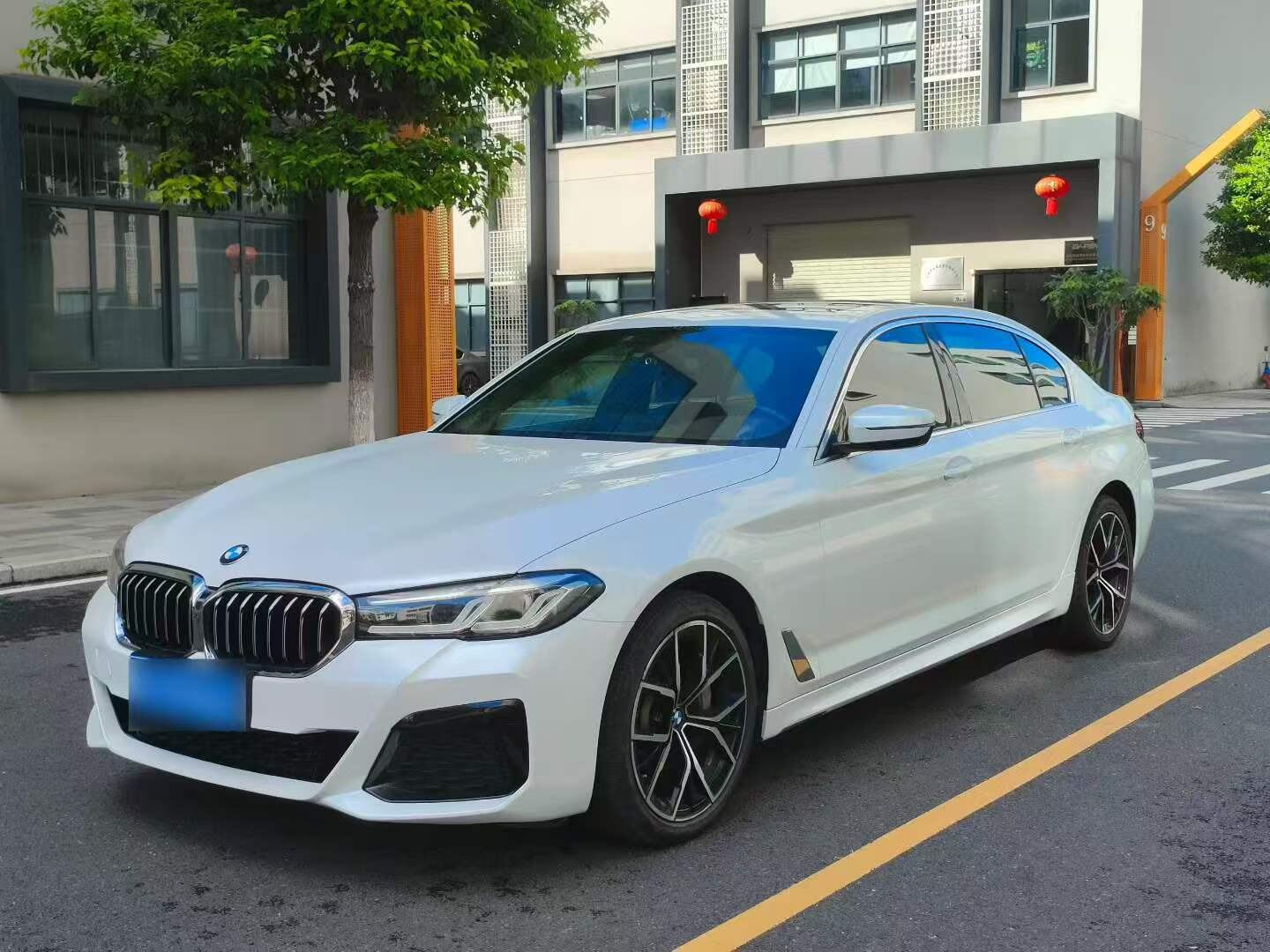 2021 530Li 2.0T Premium M Sport Package
