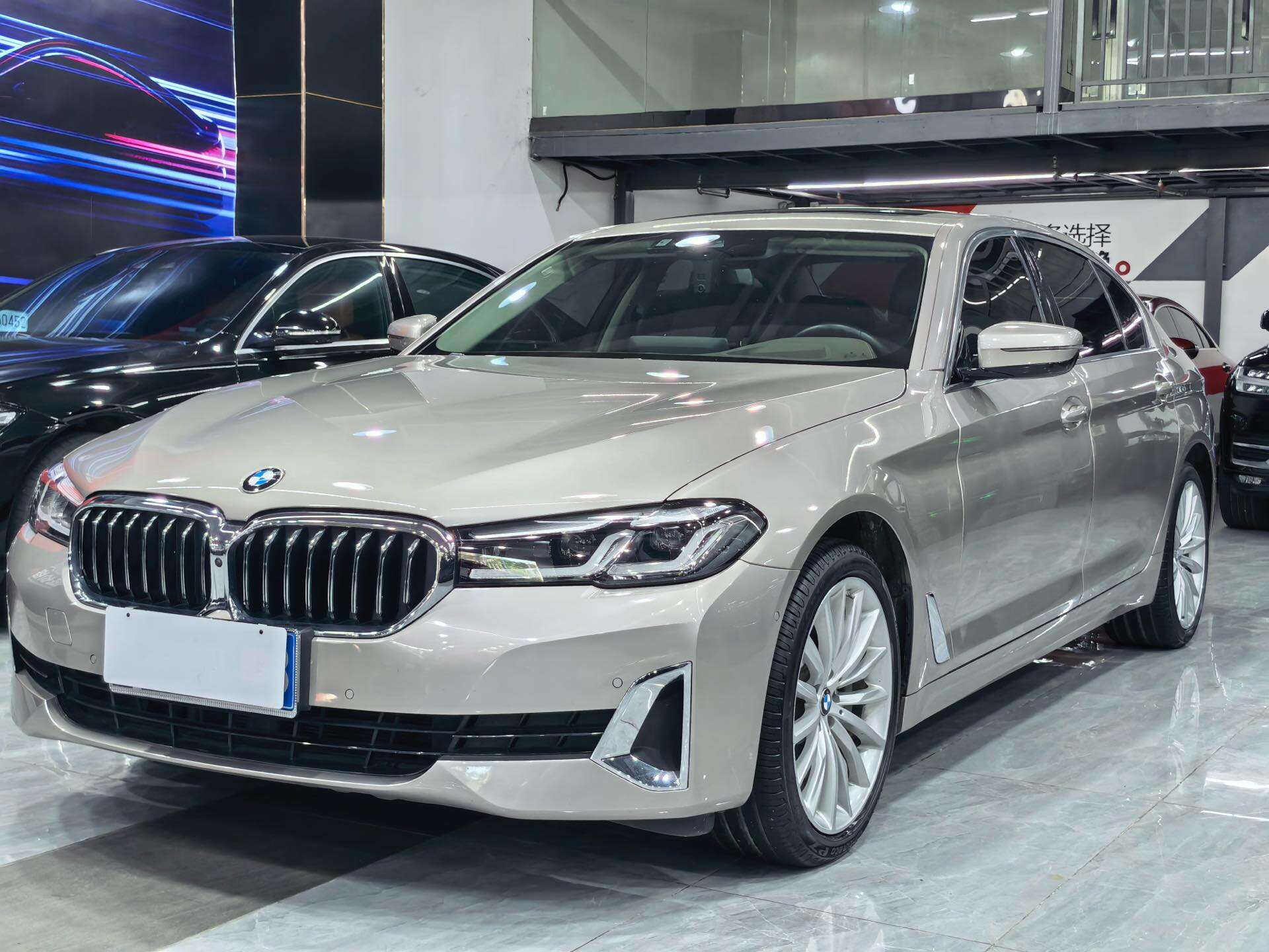 2021 530Li 2.0T Premium Luxury Package