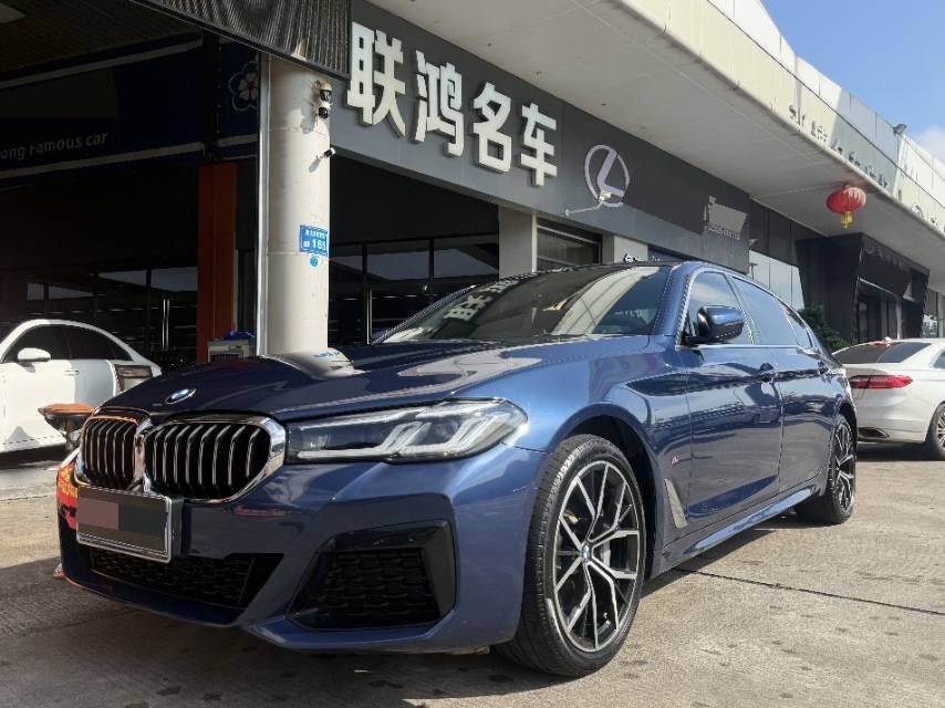 530Li 2.0T Premium Package (Facelift)