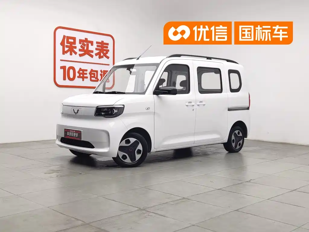 2025 Wuling Zhiguang NEV 305km Base Version