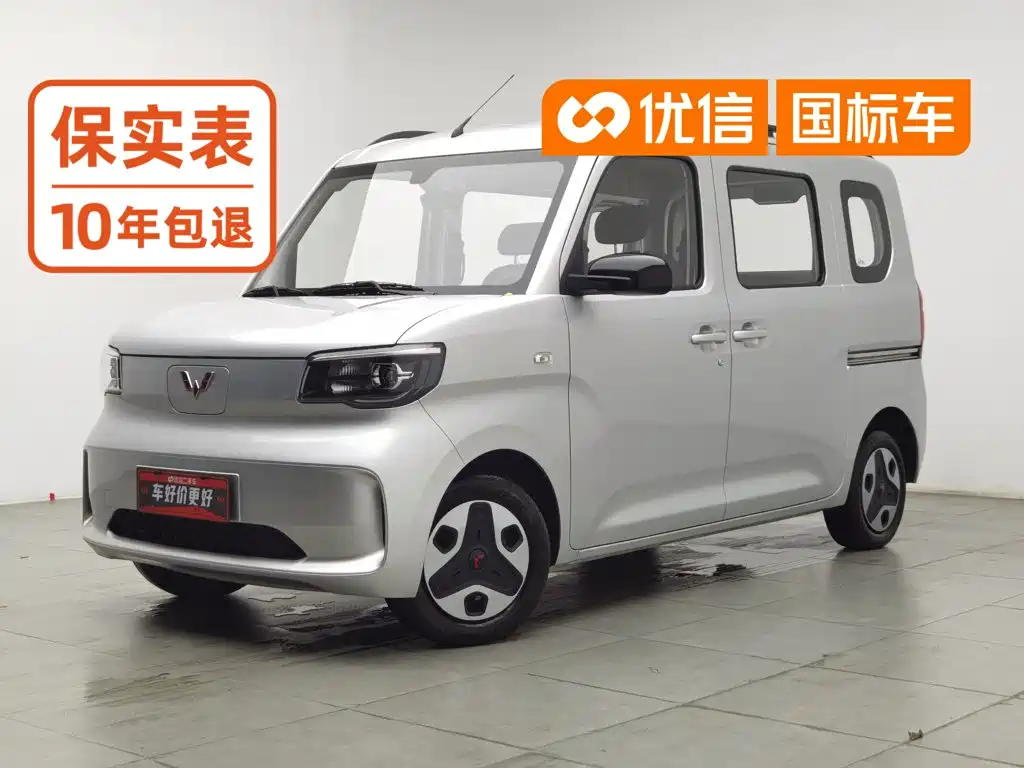2025 Wuling Zhiguang NEV 305km Base Version